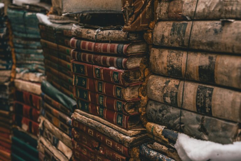 darran-shen-aOiUF_KOeEc-unsplash