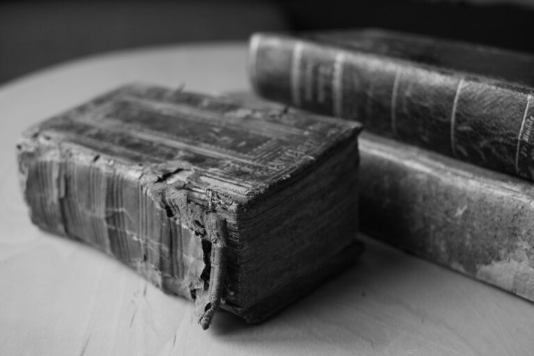 joachim-schnurle-7L9Ai7DdWCQ-unsplash