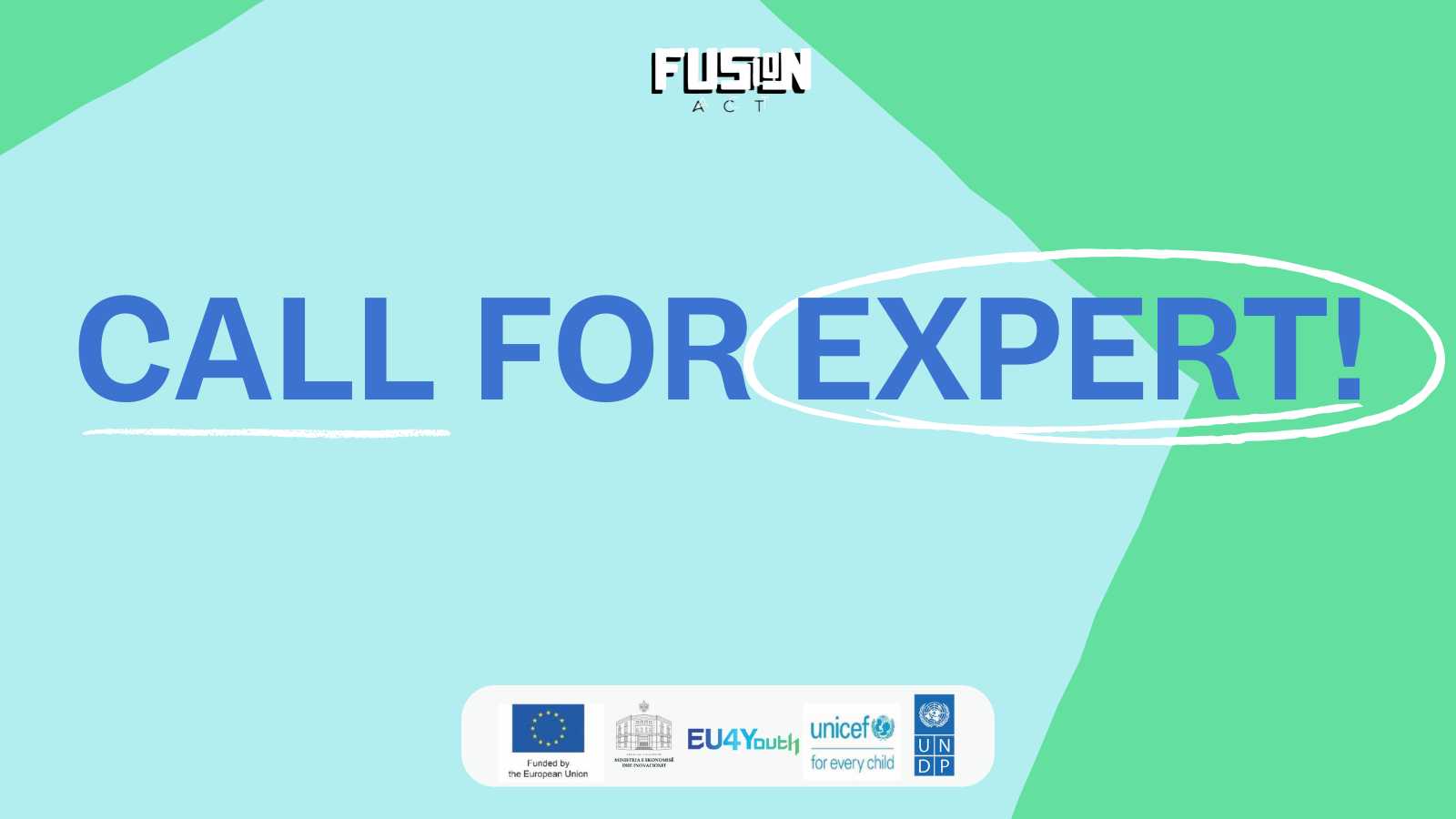 Open Calls for Experts