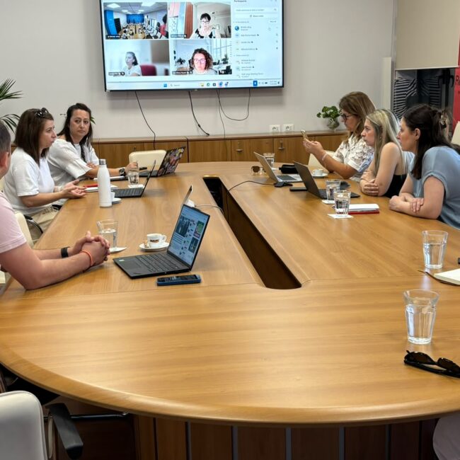 Local Partnership Networks in Tirana, Shkodër and Vlorë
